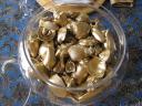 Spray paint seashells in box