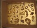 Spray paint seashells in the box