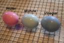 Egg dye