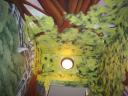 enchanted_forest2.JPG