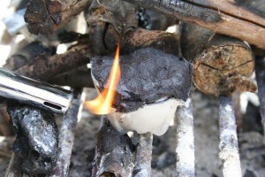 Make your own fire starters