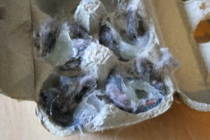 Make your own fire starters