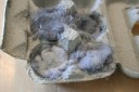 Make your own firestarters