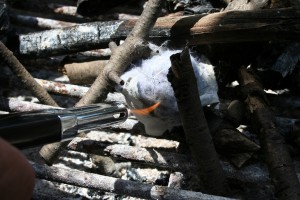 Make your own fire starters