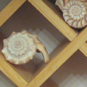 Use a spice rack as a curio display