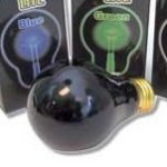 Set the party mood with colored light bulbs