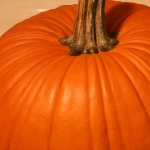 Quick Tip - Carve your pumpkin from the bottom