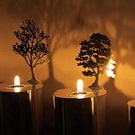 Gift ideas for the host or hostess