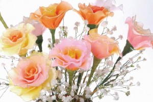 nylon flowers