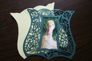 paper cut frame paper cut frame