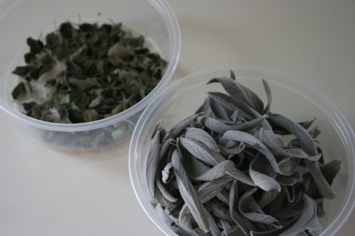 drying herbs