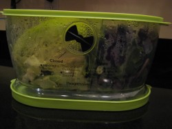 lettuce keeper lettuce keeper