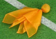 Penalty Flag