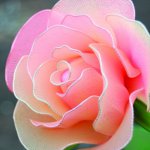 Nylon Flower Kits