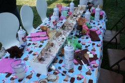 ice cream party ice cream party