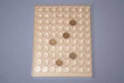 beach sand collection display beach sand collection display