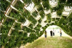 Living Pavillion