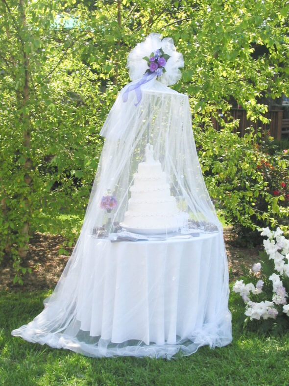 Protect your cake at an outdoor wedding reception