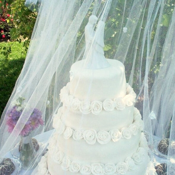 Protect your cake at an outdoor wedding reception