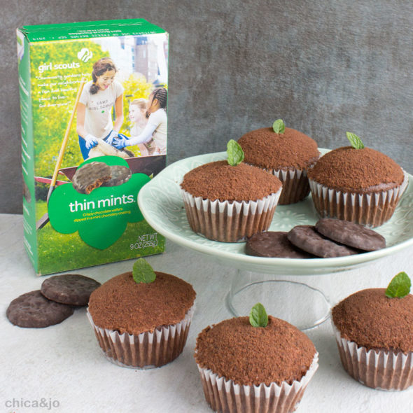 Girl Scout Cookie Cupcake Recipe - Thin Mints