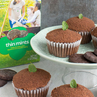 Girl Scout Cookie Cupcake Recipe - Thin Mints