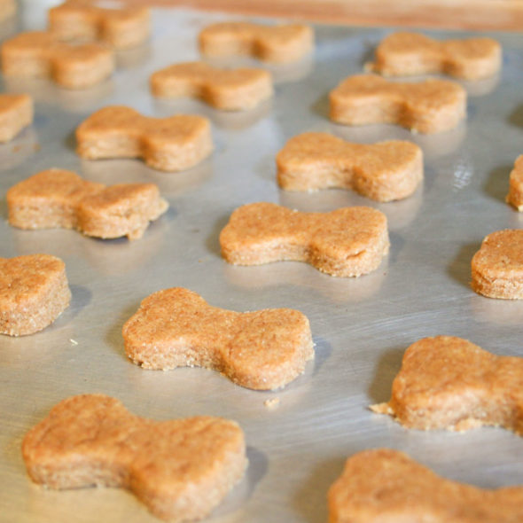 Homemade peanut butter dog biscuits