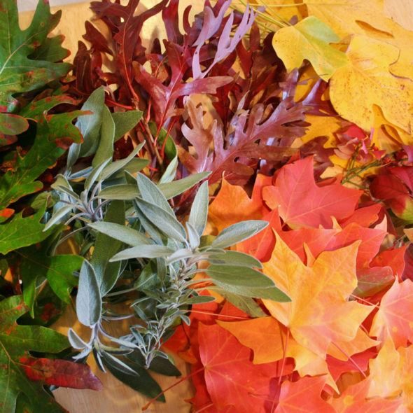 Create a natural centerpiece for fall or winter