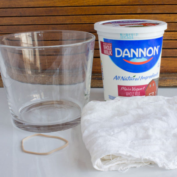 Quick and easy Greek yogurt