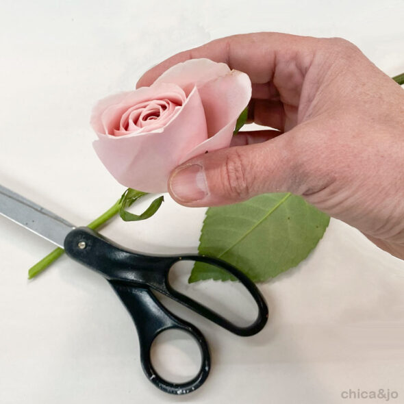 How to dry roses with silica gel flower drying kit