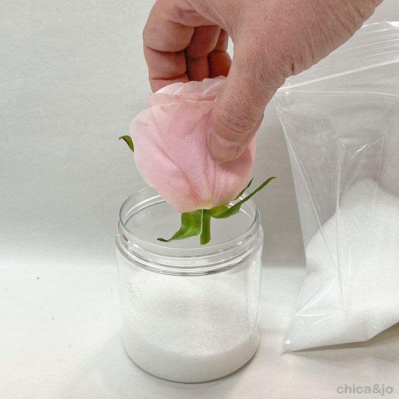 Drying Flowers with Silica Gel 