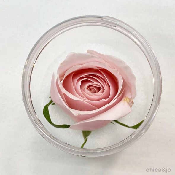 How to dry roses with silica gel flower drying kit