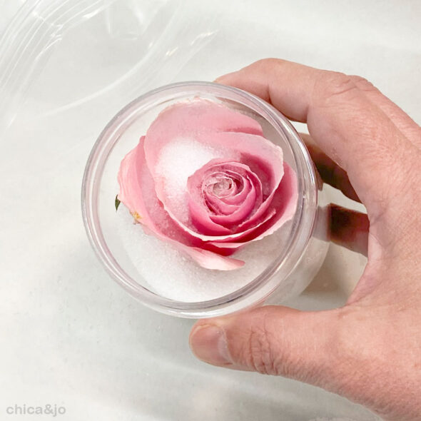 How to dry roses with silica gel flower drying kit