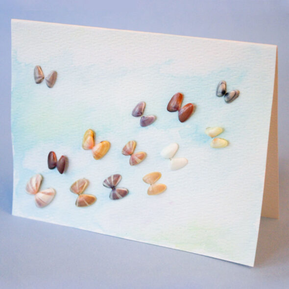 Butterfly Shell Greeting Card