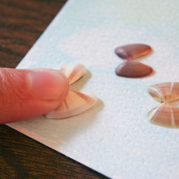 make a butterfly greeting card from tiny sea shells