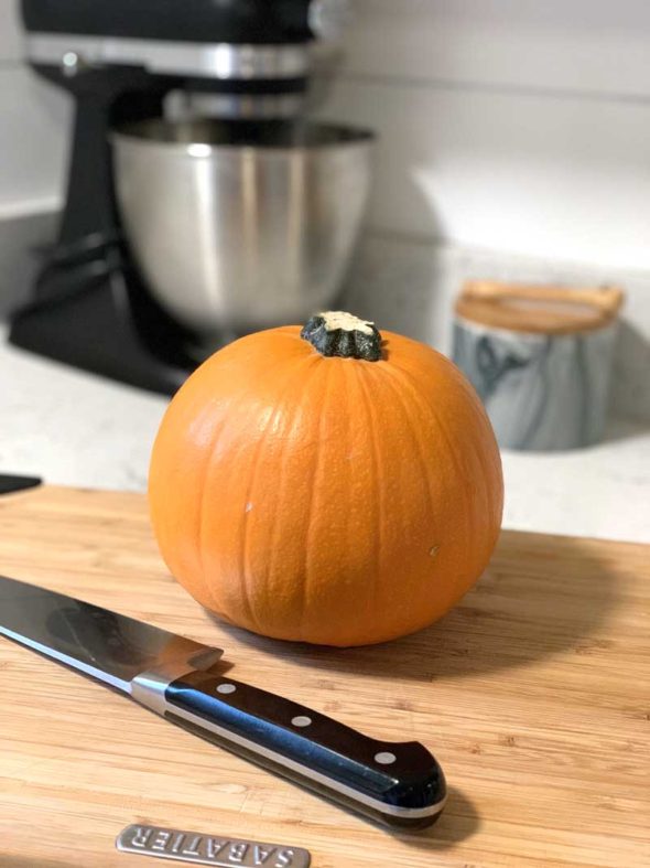 Pumpkin cheese fondue appetizer