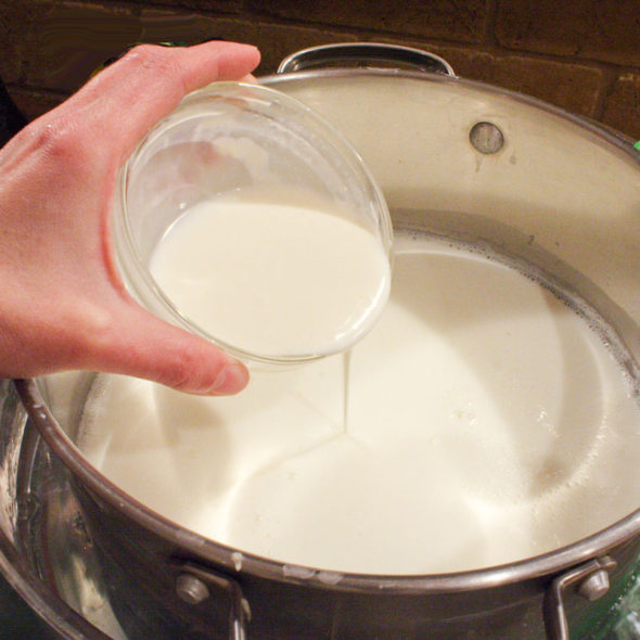 How to make Greek yogurt at home