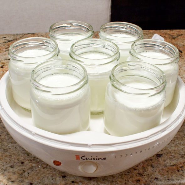 How to make Greek yogurt at home