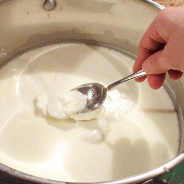 How to make Greek yogurt at home