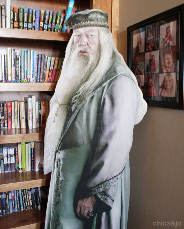 Harry Potter party ideas dumbledore cutout