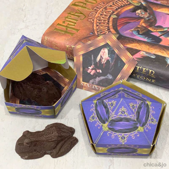 Harry Potter party ideas chocolate frog boxes