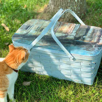 Picnic Basket Redo with Chalk Paint