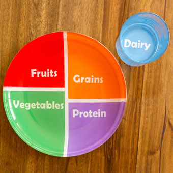 Make Your Own MyPlate Food Pyramid Plate