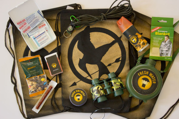 DIY The Hunger Games party ideas