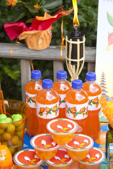 Disney Orange Bird Party 10