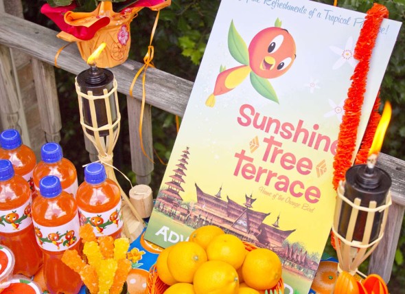 Disney Orange Bird Party 13