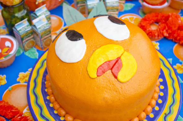 Disney Orange Bird Party 14