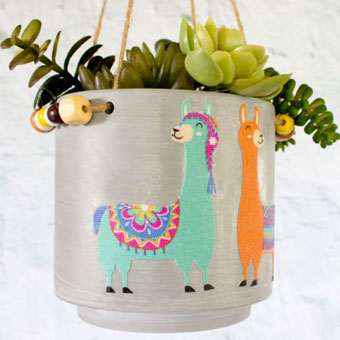 Llama Decorated Concrete Planter from Target
