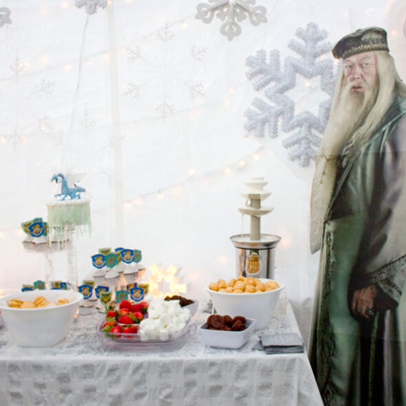 Harry Potter Yule Ball and Tri-Wizard Tournament Party