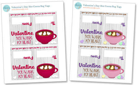 Valentine's Day Hot Chocolate Treat Bag or Party Favor + Free