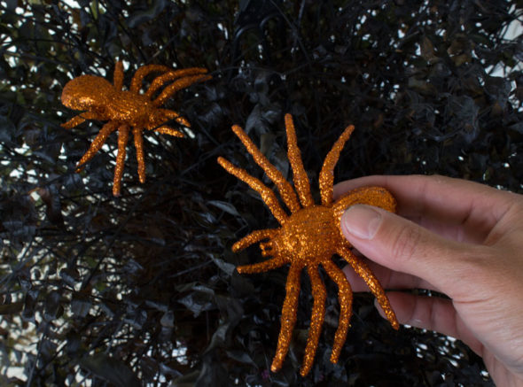 Halloween decor from dead houseplants